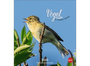 Image of Vögel in unseren Gärten Postkartenkalender 2025