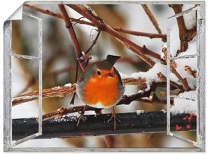 4057738830580 - Wandbild ARTLAND Fensterbild - Rotkehlchen Bilder Gr B H 40 cm x 30 cm Poster Vögel 1 St rot Bild Kunstdruck Poster Bilder als Alubild Leinwandbild Wandaufkleber oder in versch Größen