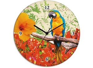 Image of Wanduhr ARTLAND "Papagei" Wanduhren Gr. T: 1,8 cm, Funkuhr, bunt Wanduhren wahlweise mit Quarz- oder Funkuhrwerk, lautlos ohne Tickgeräusche