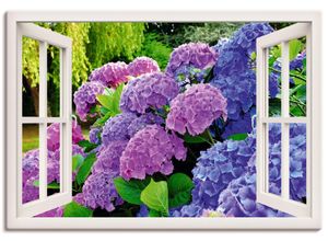 4057738334194 - Wandbild ARTLAND Fensterblick Hortensien im Garten Bilder Gr B H 130 cm x 90 cm Leinwandbild Blumen Querformat 1 St lila Bild Leinwandbild Kunstdrucke Bilder als Alubild Leinwandbild Wandaufkleber oder Poster in versch Größen