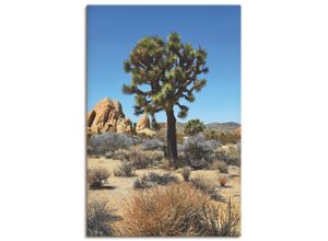 4059745423212 - Wandbild ARTLAND Joshua Tree in der Mojave Wüste III Bilder Gr B H 80 cm x 120 cm Leinwandbild Wüste Hochformat 1 St blau Bild Poster Bilder als Alubild Leinwandbild Wandaufkleber oder in versch Größen