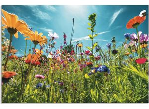 4062144669297 - Wandbild ARTLAND Buntes Blumenfeld Bilder Gr B H 120 cm x 80 cm Alu-Dibond-Druck Blumenwiese Querformat 1 St bunt Kunstdrucke als Alubild Leinwandbild Wandaufkleber oder Poster in versch Größen