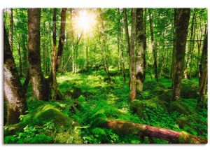 4059745302319 - Wandbild ARTLAND Wald Bilder Gr B H 120 cm x 80 cm Leinwandbild Wald 1 St grün Bild Kunstdruck Kunstdrucke Bilder als Alubild Leinwandbild Wandaufkleber oder Poster in versch Größen