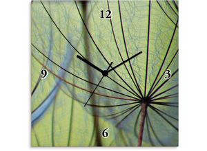 Image of Wanduhr ARTLAND "Pusteblumen-Samen" Wanduhren Gr. B/H/T: 30 cm x 30 cm x 1,7 cm, Funkuhr, grün Wanduhren wahlweise mit Quarz- oder Funkuhrwerk, lautlos ohne Tickgeräusche