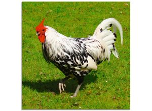 4058661716989 - Glasbild ARTLAND Gepunktetes Huhn Bilder Gr B H 30 cm x 30 cm Glasbild Vögel quadratisch 1 St grün Bild Glasbild Glasbilder Bilder in verschiedenen Größen