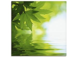 4055327233415 - Wandbild ARTLAND Grüne Blätter reflektieren im Wasser Bilder Gr B H 40 cm x 40 cm Leinwandbild Blätter quadratisch 1 St grün Bild Poster Bilder als Alubild Leinwandbild Wandaufkleber oder in versch Größen