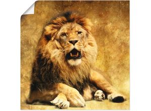 4055327505796 - Wandbild ARTLAND Der König - Löwe Bilder Gr B H 50 cm x 50 cm Poster Wildtiere 1 St braun Kunstdrucke Bilder als Leinwandbild Wandaufkleber oder Poster in versch Größen