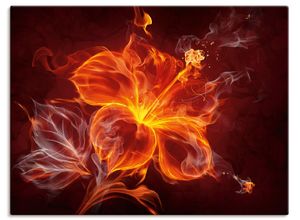 4055327780315 - Wandbild ARTLAND Feuerblume Bilder Gr B H 120 cm x 90 cm Leinwandbild Blumen Querformat 1 St rot Bild Poster Bilder als Leinwandbild Wandaufkleber oder in versch Größen