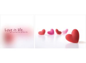 4049009046127 - Leinwandbild QUEENCE Love is Life Bilder Gr B H T 100 cm x 40 cm x 2 cm bunt Leinwandbilder Bilder 2er-Set