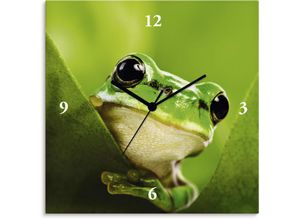 Image of Wanduhr ARTLAND "Ausspähender Frosch" Wanduhren Gr. B/H/T: 30 cm x 30 cm x 1,7 cm, Funkuhr, grün Wanduhren wahlweise mit Quarz- oder Funkuhrwerk, lautlos ohne Tickgeräusche