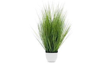 4262371539237 - Spetebo - Künstliches Isolepsis Gras grün - 60 cm - Kunstpflanze mit weißem Blumentopf - Kunst Topfpflanze Zimmerpflanze Dekorpflanze Kunstblumen