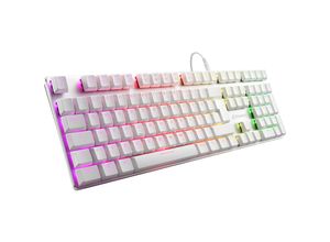 4044951034239 - PureWriter RGB - keyboard - QWERTZ - German - white - Tastaturen - Deutsch - Weiss