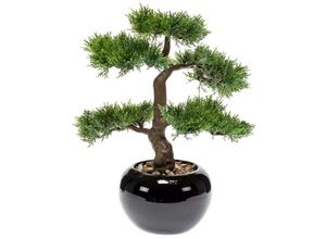 8714344265194 - Kunstbonsai »Ceder Bonsai« Ceder Botanic-Haus Höhe 34 cm grün