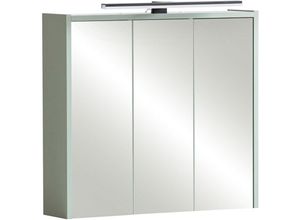 4066075171942 - Lomadox - Spiegelschrank mit LED-Beleuchtung in Pistazie PROVIDENCE-80 - grün