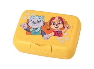 4002942674758 - - Lunchbox mit Trennschale Paw Patrol Grow