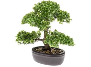 8714344265187 - Kunstbonsai »Ficus Bonsai« Ficus Botanic-Haus Höhe 32 cm grün