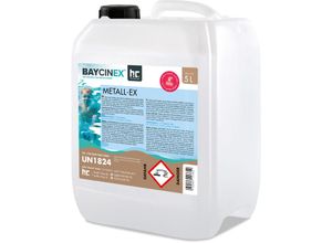 4250463117852 - Höfer Chemie Gmbh - 5 l baycinex® Metall-Ex im praktischen Kanister