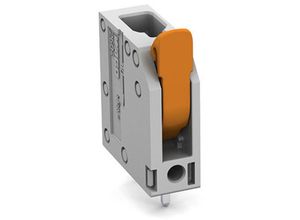 4055143615853 - Wago - 2604-3101 Printklemme 4 mm² Polzahl 1 1 St 4055143615853 - Wago - 2604-3101 Printklemme 4 mm² Polzahl 1 1 St