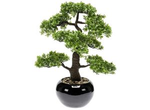 8714344265224 - Botanic-Haus Kunstrasen Kunstpflanze Bonsai Ficus Grün 47 cm 420006 Emerald Höhe 47 mm