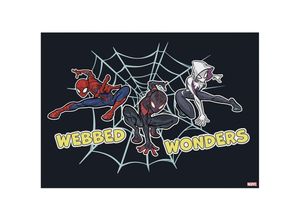 5011583536782 - Leinwandbild MARVEL Webbed Wonders Bilder Gr B H T 70 cm x 50 cm x 25 cm Leinwandbild 1 St bunt (mehrfarbig) Leinwandbilder