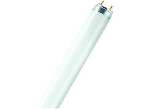 4008321923806 - Leuchtstofflampe-XXT 58W 865 G13