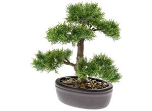 8714344265170 - Kunstbonsai »Ceder Bonsai« Ceder Botanic-Haus Höhe 32 cm grün