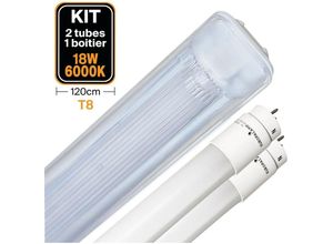 7061111181807 - Europalamp - Kit 2 LED-Röhren T8 18W Kaltweiß + Wasserdichtes Gehäuse 120cm