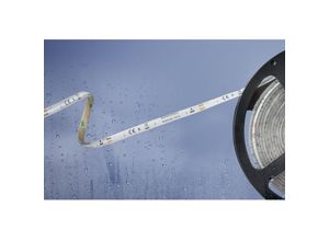 4021553096759 - Barthelme Basic - 51540433 51540433 LED-Streifen mit offenem Kabelende 12 v 5 m Neutralweiß 1 St