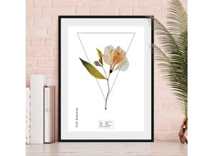 4049009844310 - Bild QUEENCE Alstroemeriaceae Bilder Gr B H 50 cm x 70 cm Wandbild Hochformat 1 St orange Bild Kunstdruck Bilder mit Rahmen