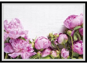 4049009914259 - Bild QUEENCE Karen Bilder Gr B H 60 cm x 50 cm Wandbild Blumen Querformat rosa (schwarz) Kunstdrucke Rosen gerahmt