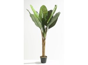 4041104047207 - Kunstpflanze Bananenbaum (BHT 60x120x60 cm) casa NOVA