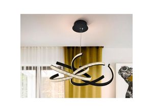 8435435332150 - Schuller Lighting - Schuller Ring ii Moderne Designer led Pendelleuchte Ring Design Matt Schwarz 2150lm 3000K