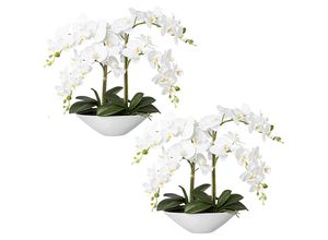 4064118889328 - Phalaenopsis real touch Höhe 530 mm VE 2 Stk Keramikschale weiß