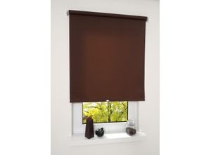 4016318063145 - Liedeco - Springrollo cappucino lichtdurchlässig Größe 62X180 cm