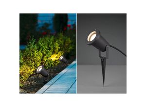 4260688150701 - Meinewunschleuchte - Schwenkbarer led Garten Baumstrahler mit Erdspieß & 5m Anschlusskabel ø 92cm