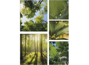 5011583372700 - Leinwandbild ART FOR THE HOME Pure Natur Bilder Gr B H T 80 cm x 60 cm x 25 cm Landschaft bunt (blau gruen) Leinwandbilder Bilder