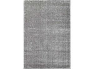 4058166280909 - Hochflor Teppich sofi Farbe Dunkelgrau Größe 180 x 120 cm Teppich Hochflorteppich Flor Wohnzimmer - Home Deluxe