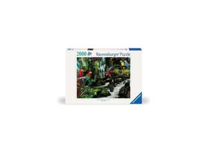 4005556171118 - Ravensburger Puzzle - Bunte Papageien im Dschungel - 2000 Teile 4005556171118 - Ravensburger Puzzle - Bunte Papageien im Dschungel - 2000 Teile