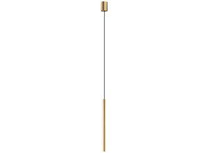 4255596663863 - Licht-erlebnisse - Pendelleuchte Metall ø 25 cm h max 130 cm in Gold matt G9 rund Modern Hängeleuchte