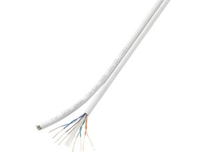 4016139235349 - Duplex-Netzwerkkabel cat 6 f utp 8 x 2 x 0196 mm² Weiß 100 m - Tru Components