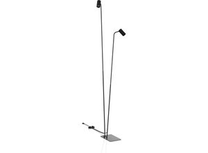 4255596664525 - Licht-erlebnisse - Stehlampe Metall verstellbar 216 cm hoch Schwarz GU10 2-flammig Modern