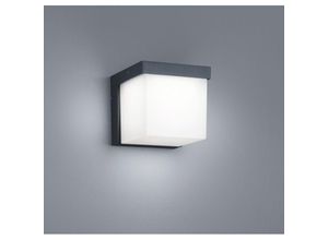8055303834366 - Iperbriko - Außenwandleuchte Yangtze Led IP54 Anthrazit H11 cm Trio Lighting 8055303834366 - Iperbriko - Außenwandleuchte Yangtze Led IP54 Anthrazit H11 cm Trio Lighting