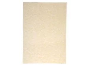 4004360959042 - Strukturpapier Perga champagne Edelkarton DIN A4 200 g m² 50 Blatt FSC Mix Credit champagner