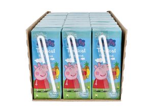 5060318669141 - Tropical Fruit Drink 200 ml 24er Pack 5060318669141 - Tropical Fruit Drink 200 ml 24er Pack