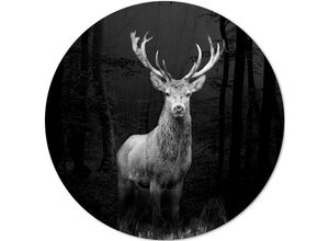 4019449453526 - Aludibondbild GREY DEER HEAD I (D 100 cm) PRO ART