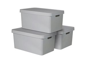 3253921721302 - Curver Organizer INFINITY (Set 3 St) Aufbewahrungsbox stapelbar je 45 Liter grau