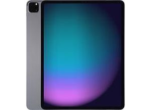 0194252195819 - Generalüberholt iPad Pro 129 (2021) 512GB WiFi Spacegrau