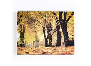 5011583390087 - Leinwandbild ART FOR THE HOME Art for the Home Herbst - 100x75cm Bilder Gr B H T 100 cm x 70 cm x 25 cm Leinwandbild Bäume 1 St bunt Leinwandbilder