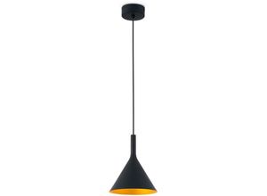 8421776066069 - Faro Pam-P - LED Small Dome Deckenpendelleuchte Schwarz Gold