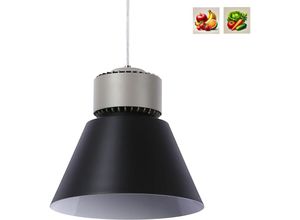 8435427175338 - Barcelona Led - led Leuchte für Obst Gemüse 36W CRI95 KeGu Treiber